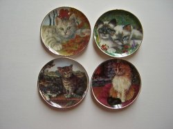 Cats in Garden Dishes