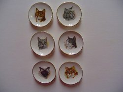 Cat Head Dishes