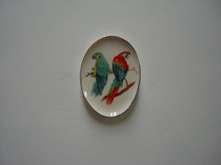 Parrot Dish