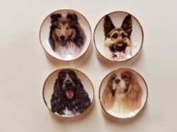 4 Dogs w/ Collie Plates