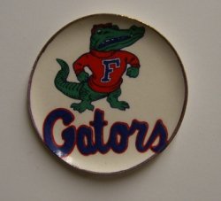 Florida Gators Platter